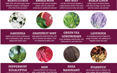 Our Standard Scents